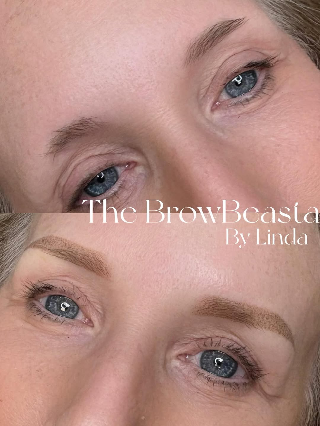 Powder brows by The BrowBeasta
